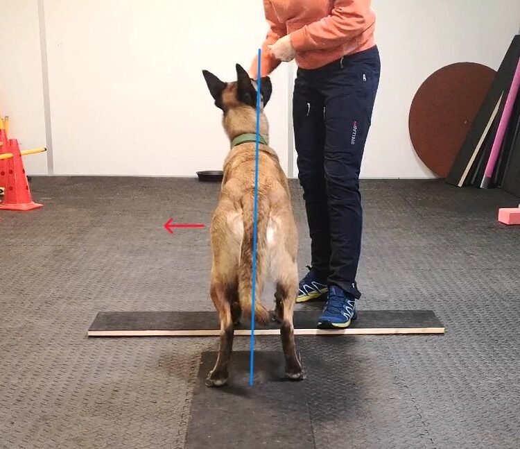 Šoninis hendlinimas hendlinimas crop