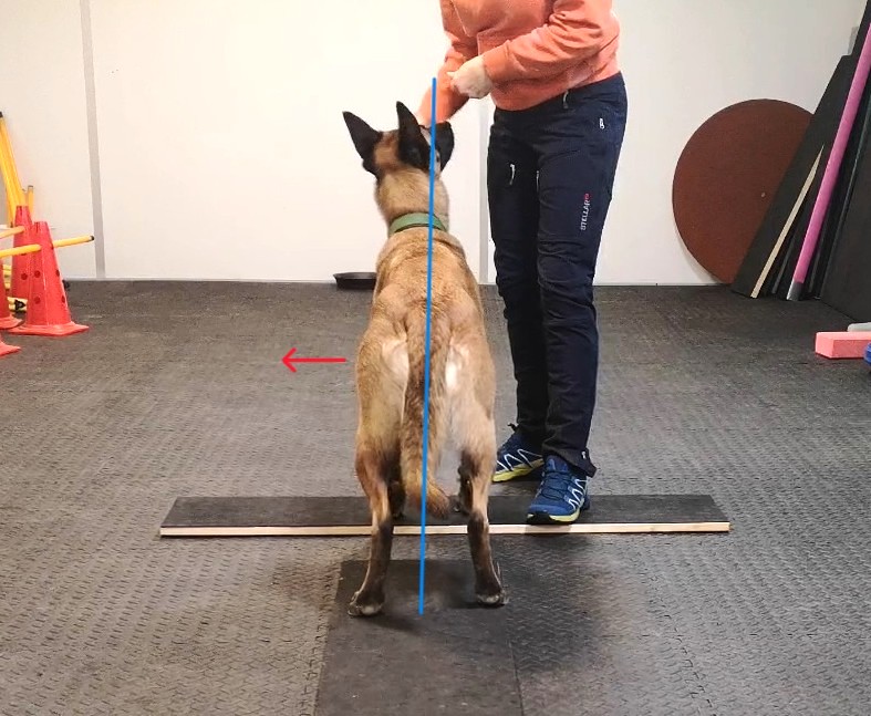 Šoninis hendlinimas hendlinimas crop